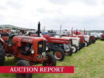 The West Bay Vintage Rally 2026 Sale Statistics