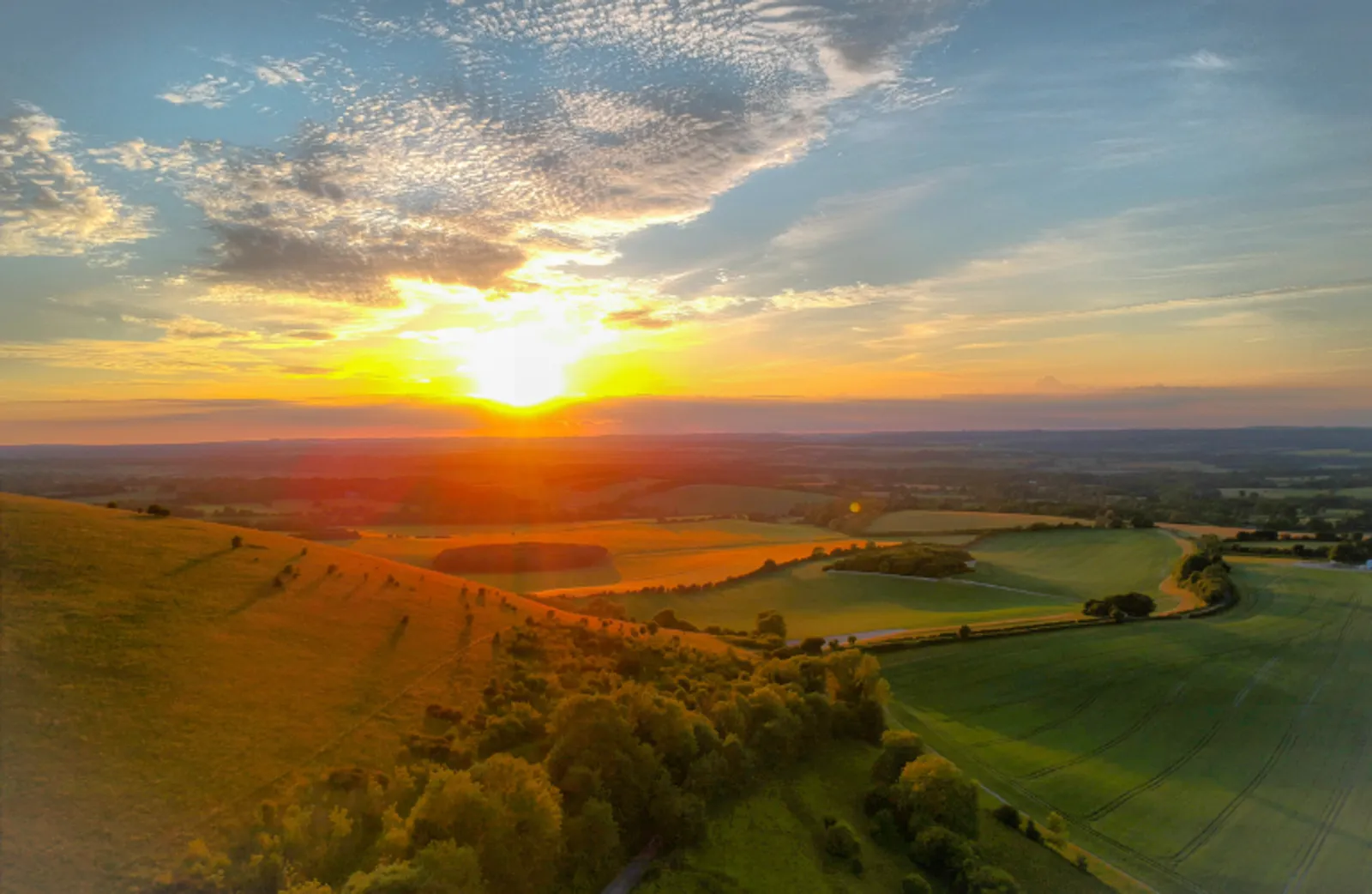 Summer 2026 Newsletter