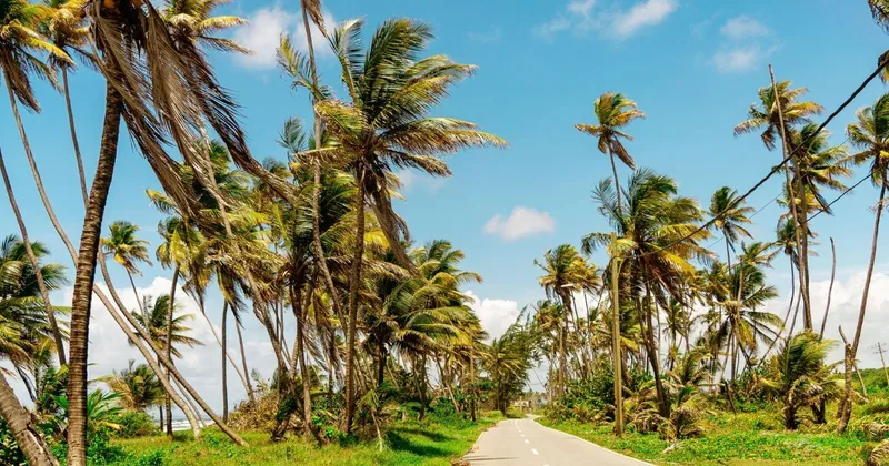 Family-Friendly Villas in Barbados