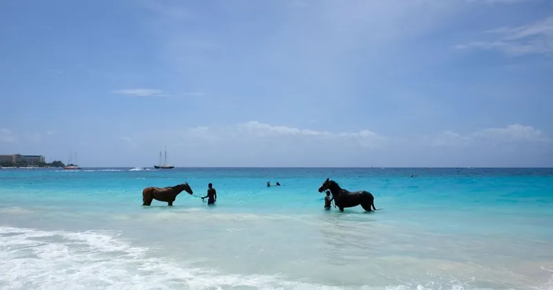 Pet-Friendly and Accessible Villas in Barbados