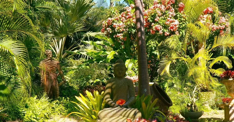 Wellness & Spa Retreats at a Barbados Villa