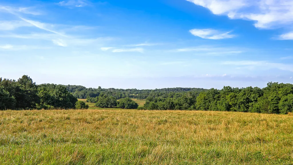 Banner Image of a Field