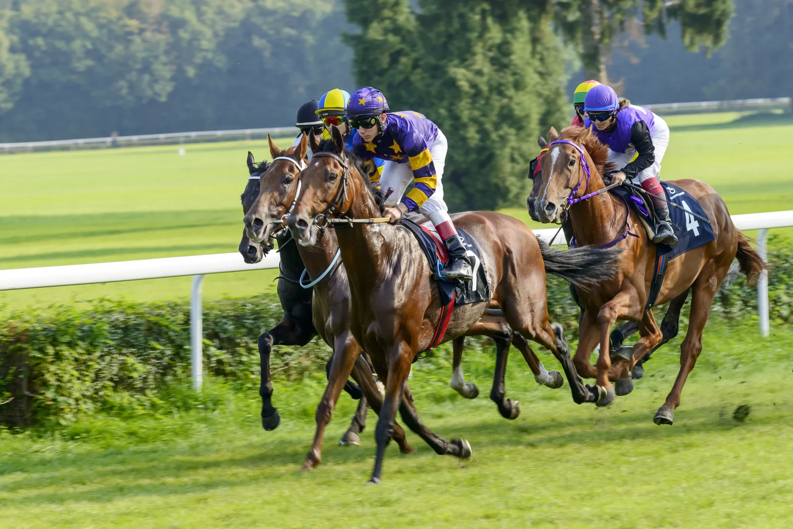 Horse Racing in the UK - £ Billions for the economy