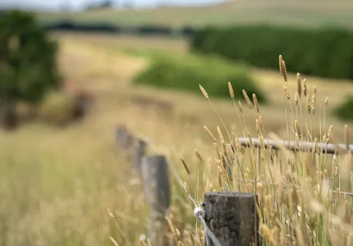 Grant Funding Update – What’s Available for Farmers?