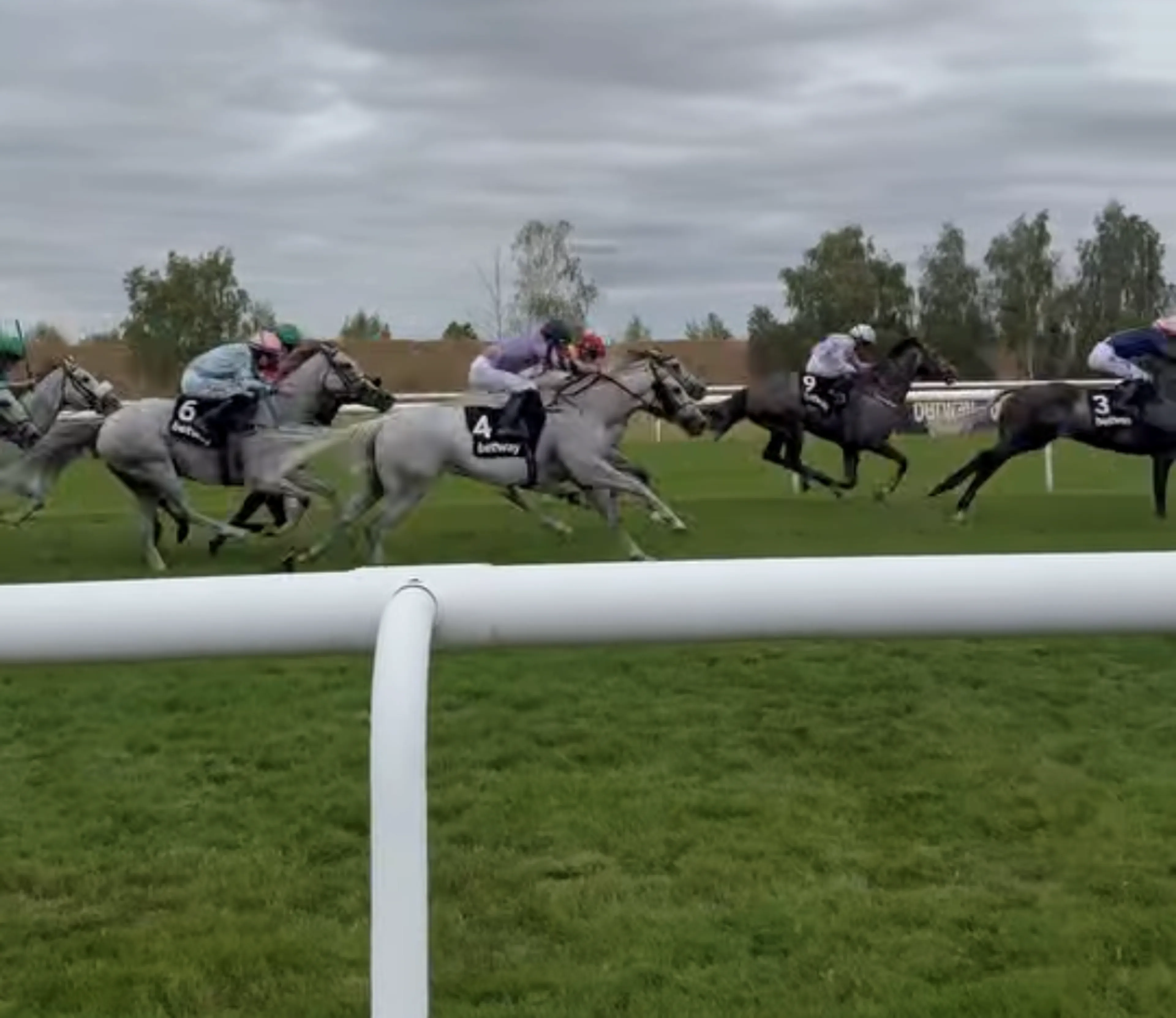 https://mr0.homeflow-assets.co.uk/files/site_asset/image/7070/7830/_x_/Newmarket_races_2026_b.png