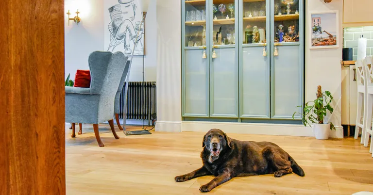 What makes a good tenant? A landlord's guide to spotting one before they move in hero