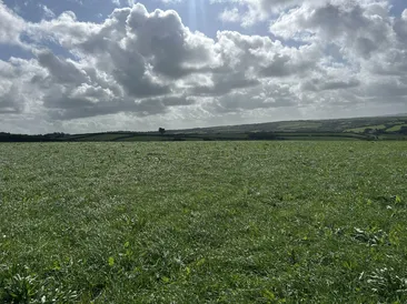 To Let by Private Treaty 50 Acres Near Bush, Bude, Cornwall 